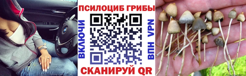 Галлюциногенные грибы GOLDEN TEACHER  цена   Юрга 